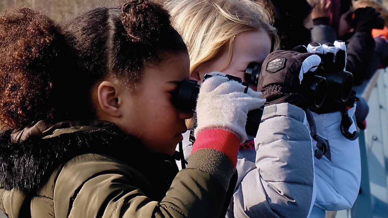 websiteZuiderzee_sliderbg3