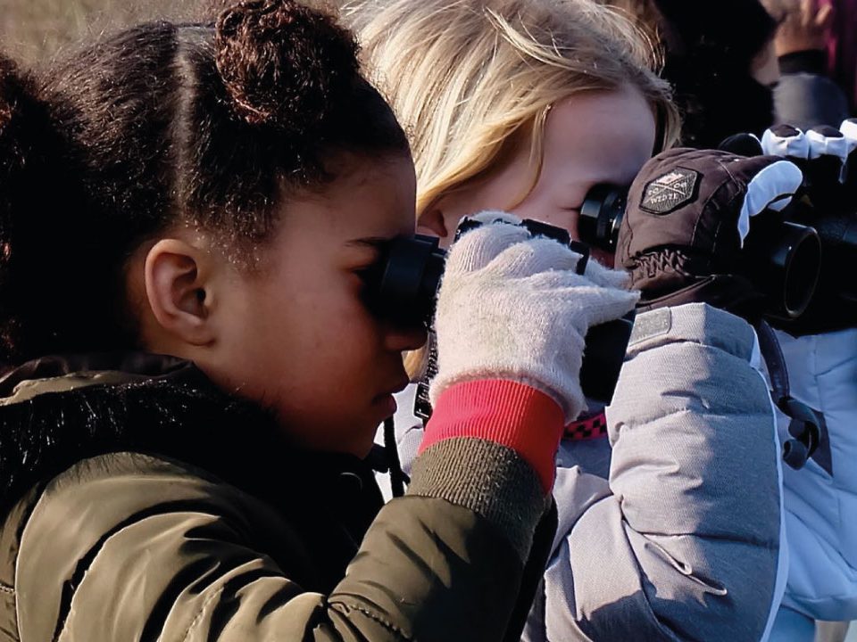 websiteZuiderzee_sliderbg3